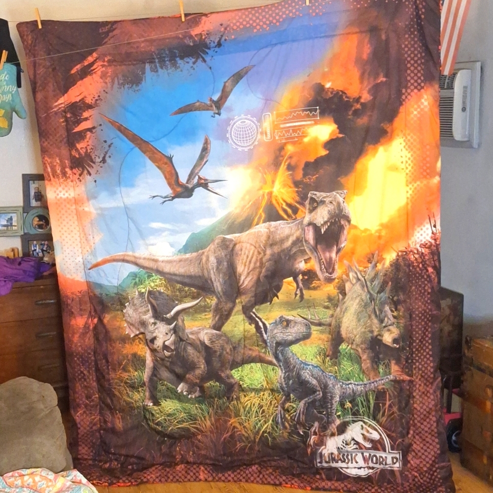 Twin Size Jurrasic Park Comforter (Reversible)